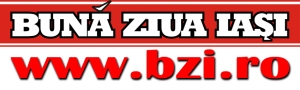 logo_bzi